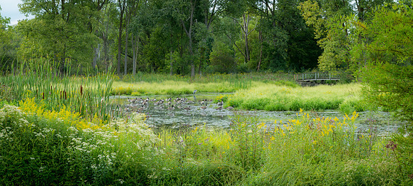 AA_Fed_Mjr_Gift_Event-500-Pano