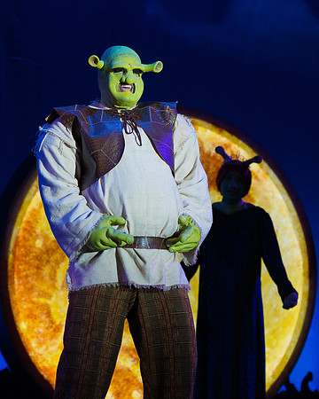ShrekPortrait