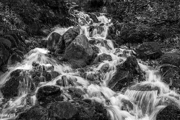 If You Listen Closely, You Can Almost Hear It-B&W
