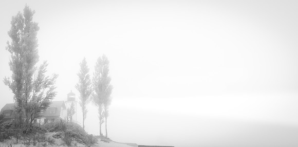 Its a Great Day to be a Foghorn