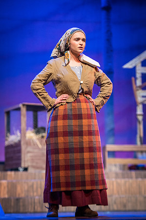 Fiddler_SunReh-222