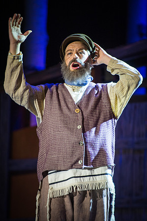 Fiddler_SunReh-190