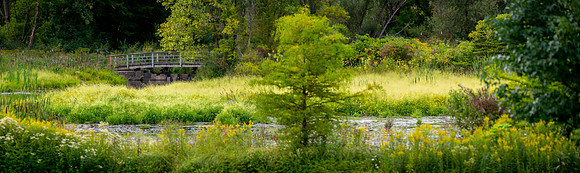 AA_Fed_Mjr_Gift_Event-481-Pano