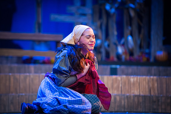 Fiddler_SunReh-426