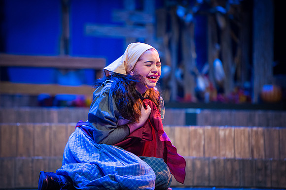 Fiddler_SunReh-428
