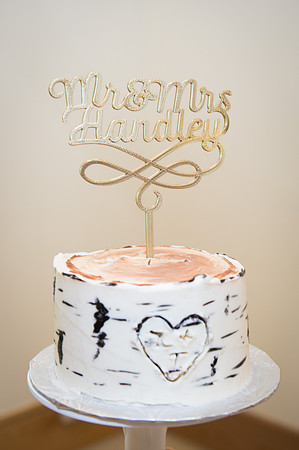 Tara&Zach-1123