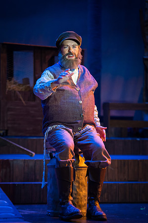 Fiddler_MonReh-1365