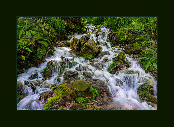 Z81_2924-Edit-Edit