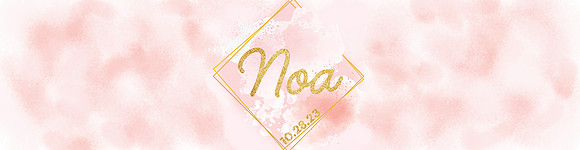 Gillerman,Noa-V2