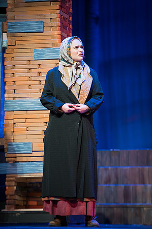 Fiddler_SunReh-458