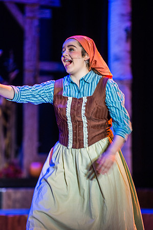 Fiddler_SunReh-144