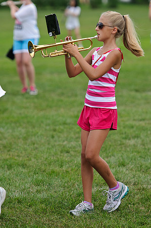 PHS_4008