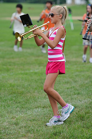 PHS_4016