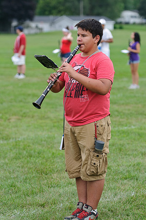PHS_4010