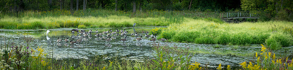 AA_Fed_Mjr_Gift_Event-505-Pano