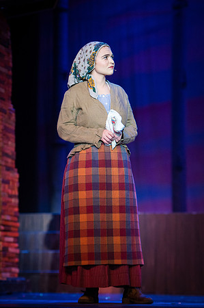 Fiddler_SunReh-239