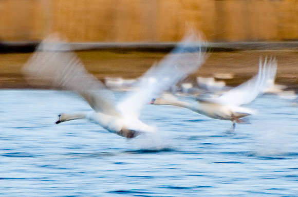 PHS_4922-Edit