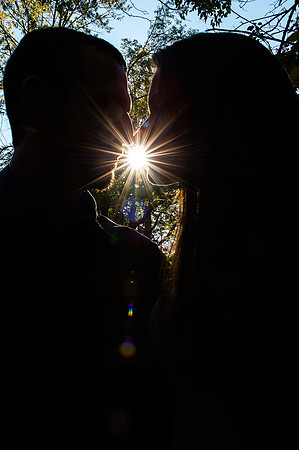 D41_0118
