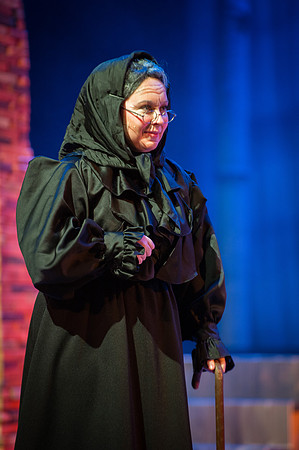 Fiddler_SunReh-533